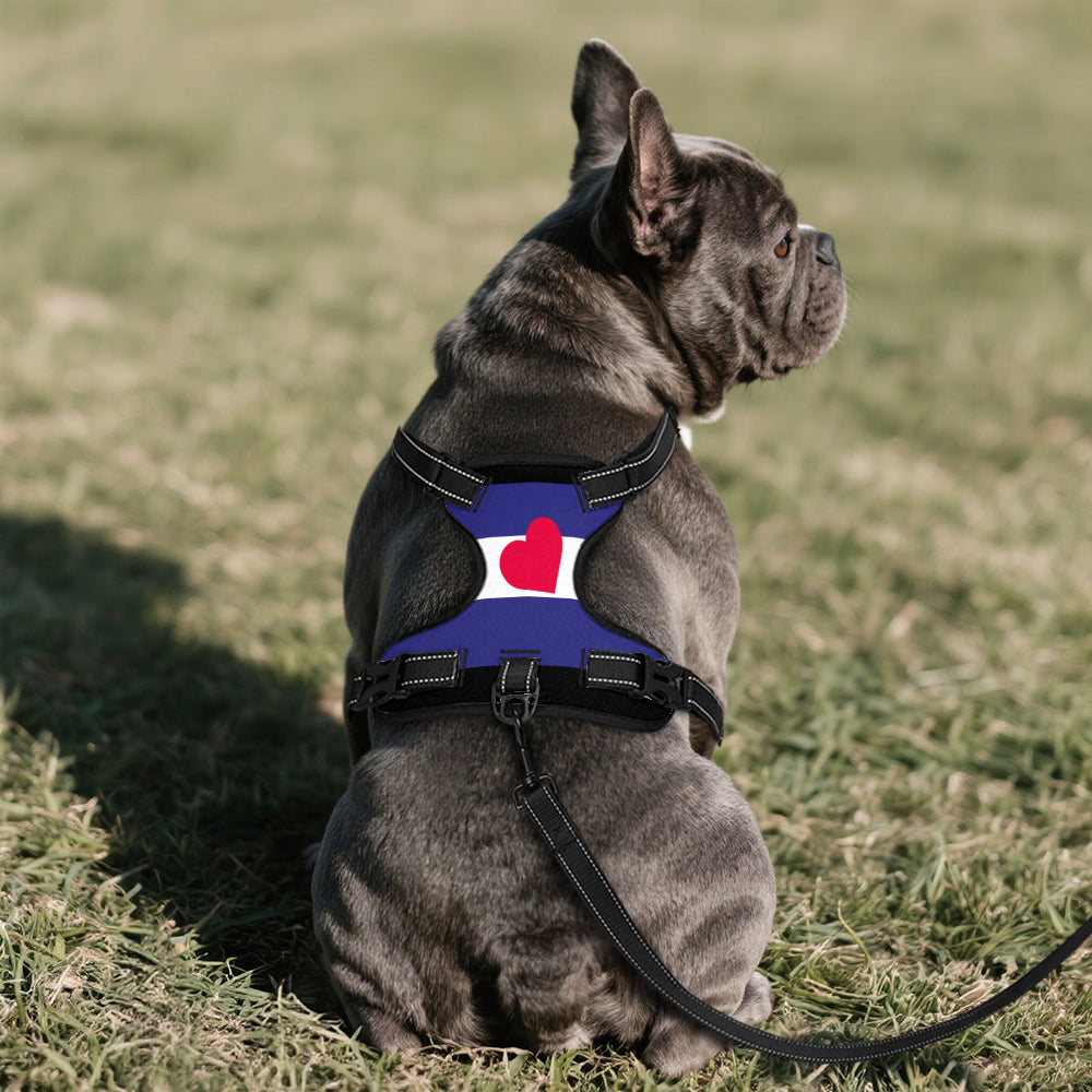 Leather Pride Flag Dog Harness
