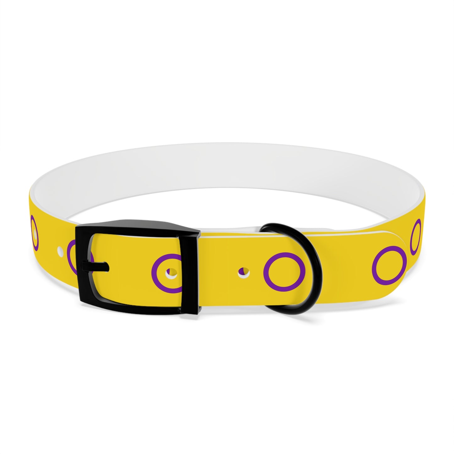 Intersex Pride Flag Dog Collar