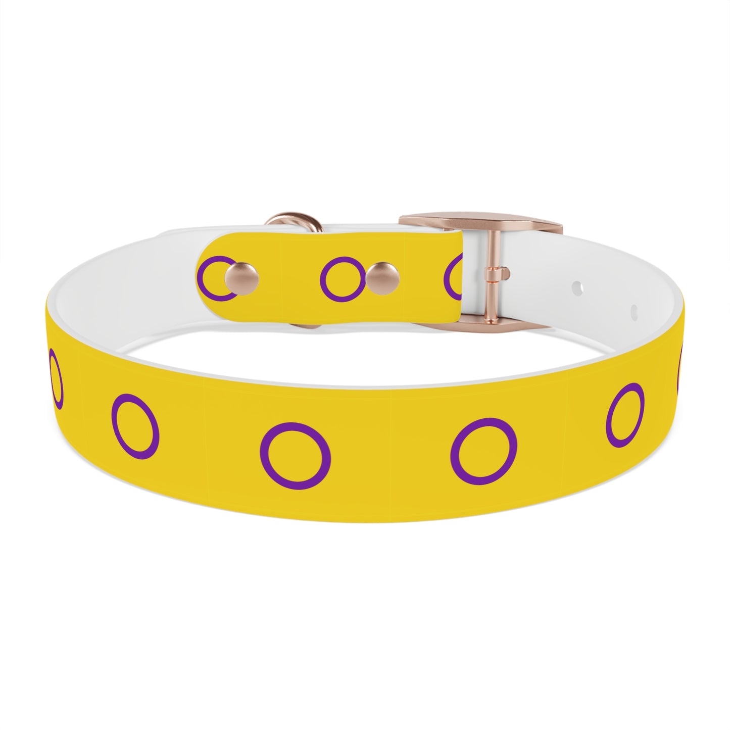 Intersex Pride Flag Dog Collar