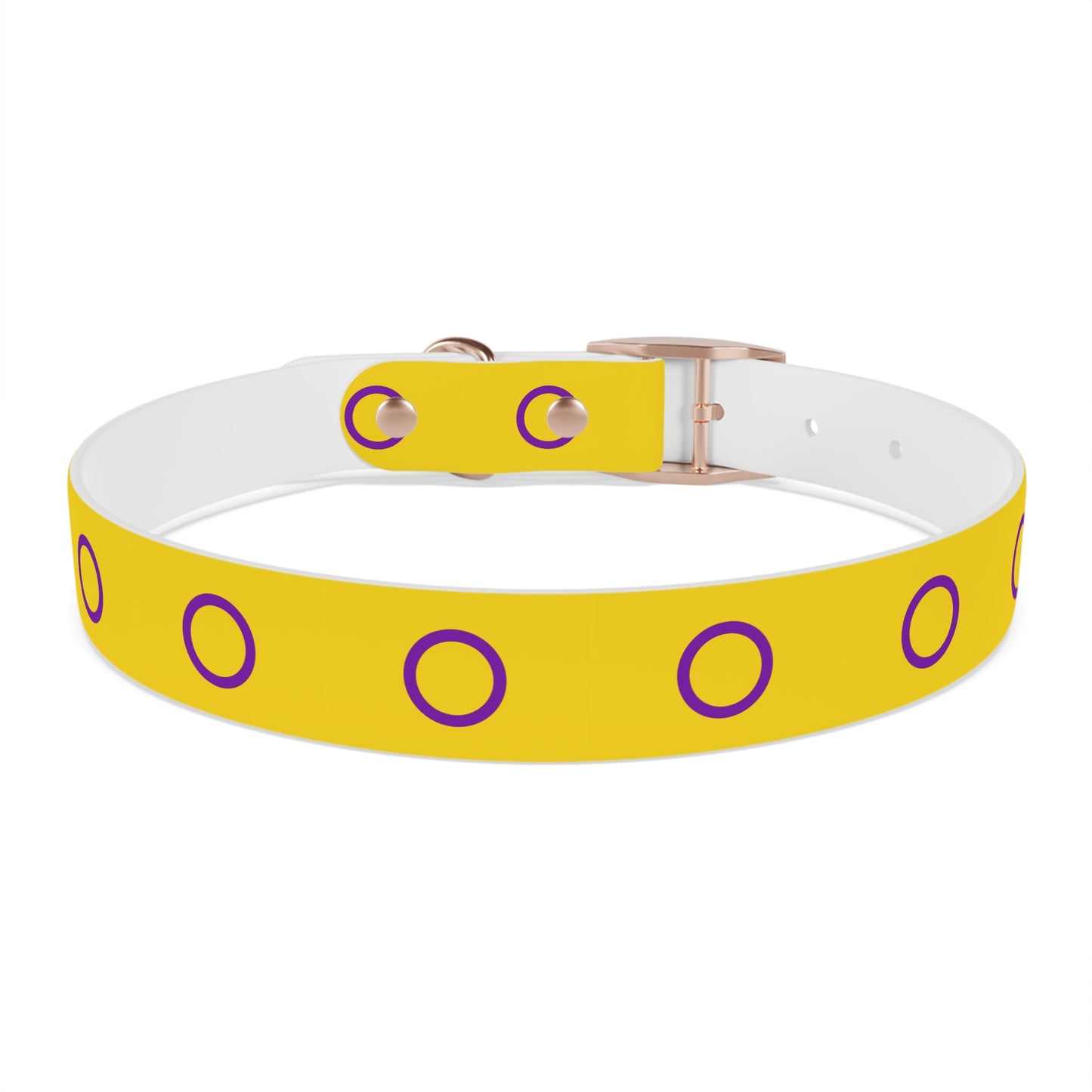 Intersex Pride Flag Dog Collar
