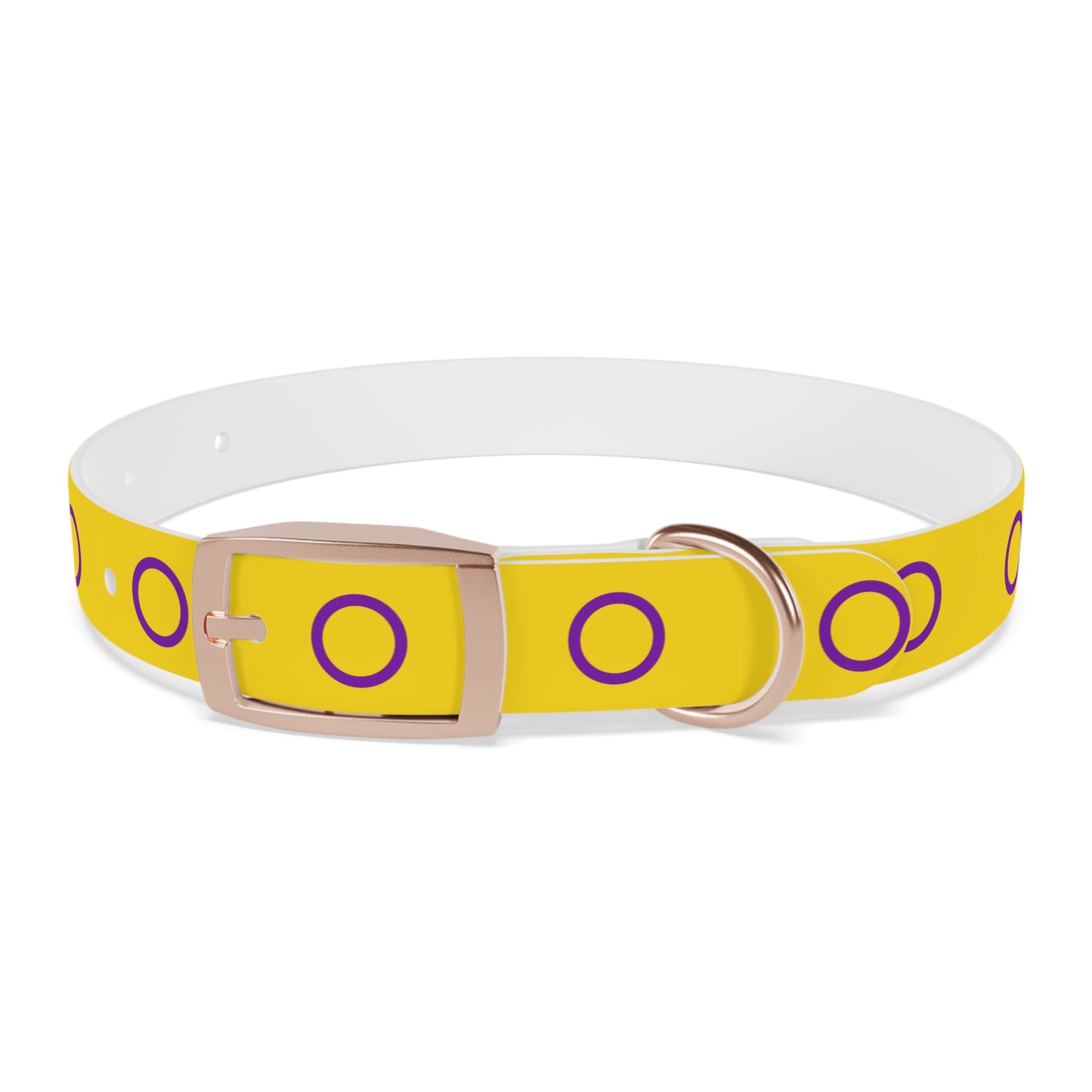 Intersex Pride Flag Dog Collar