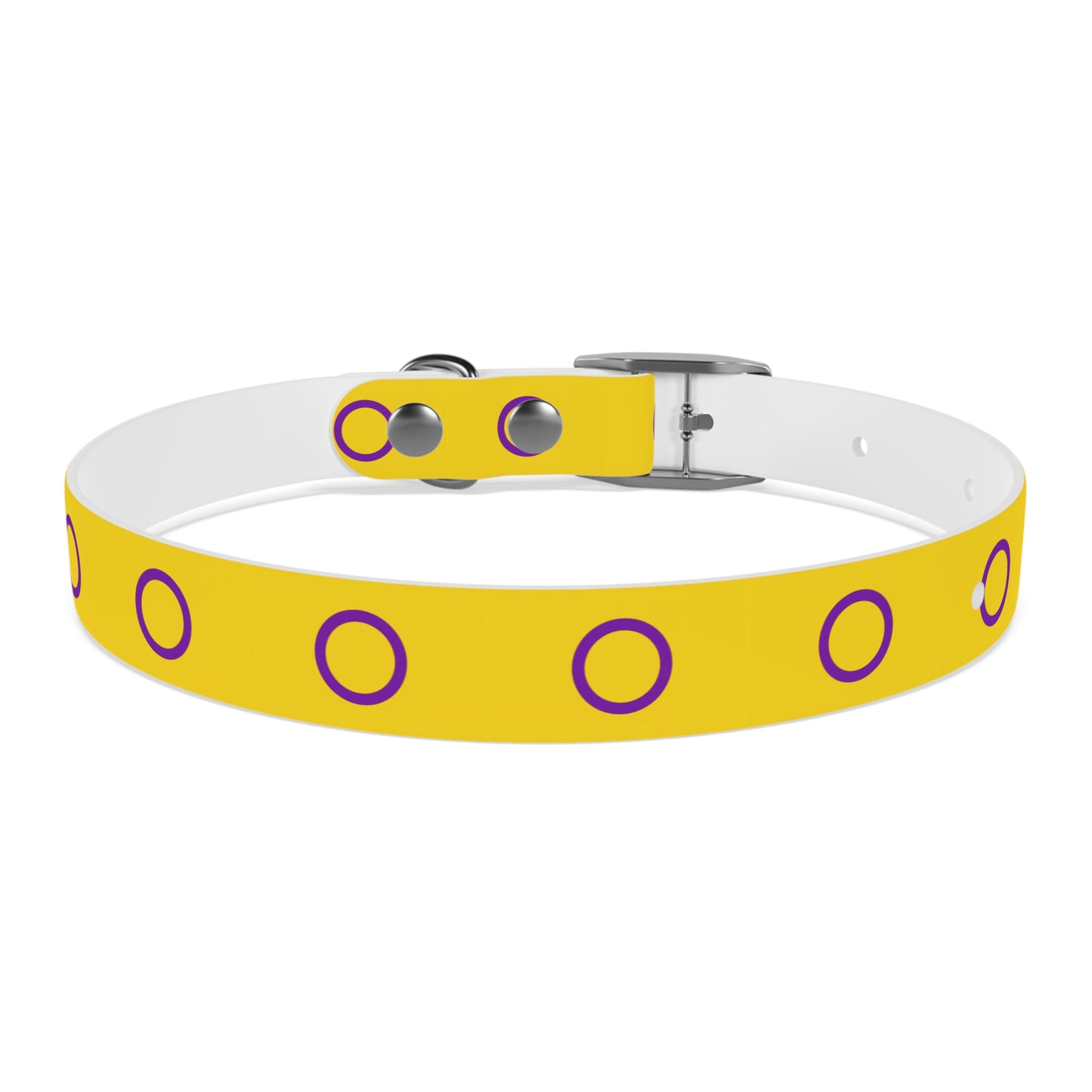 Intersex Pride Flag Dog Collar