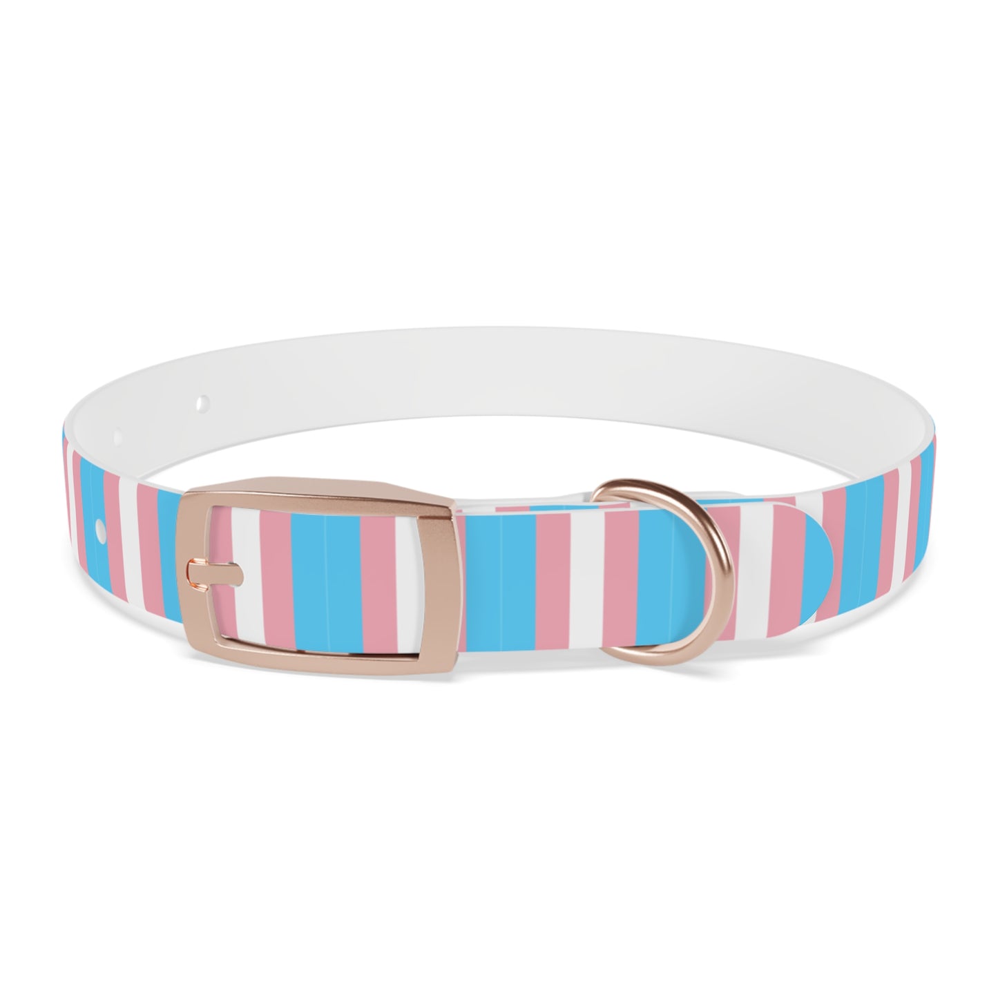 Transgender Pride Flag Dog Collar