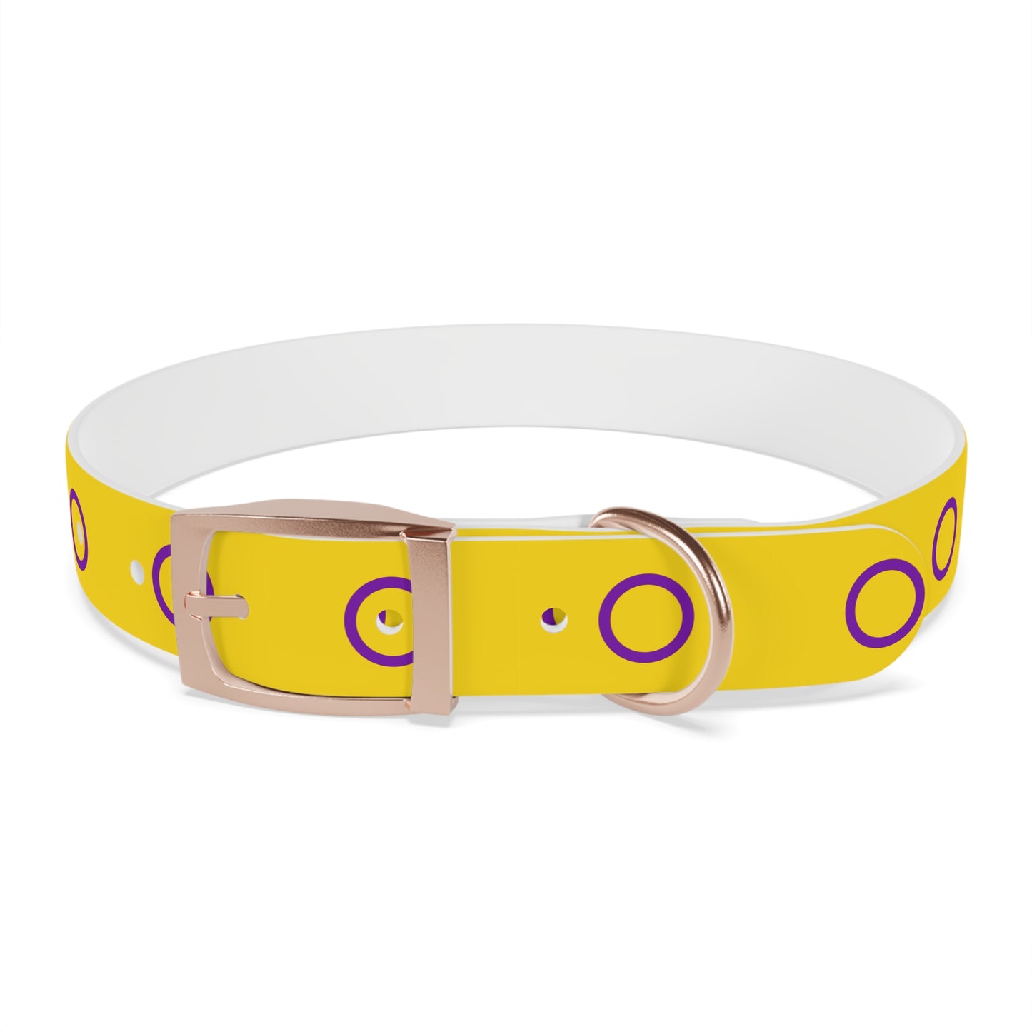 Intersex Pride Flag Dog Collar