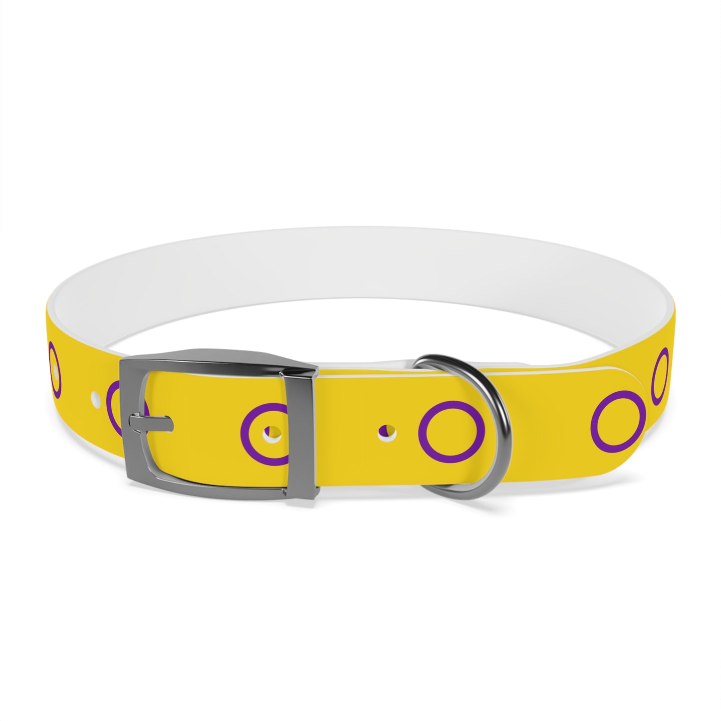 Intersex Pride Flag Dog Collar