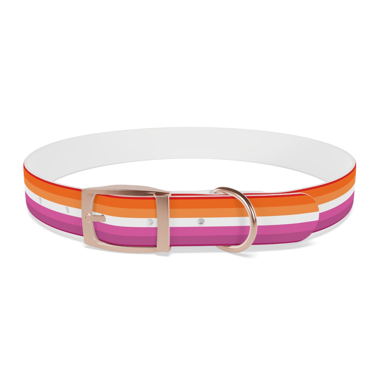 Lesbian Pride Flag Dog Collar