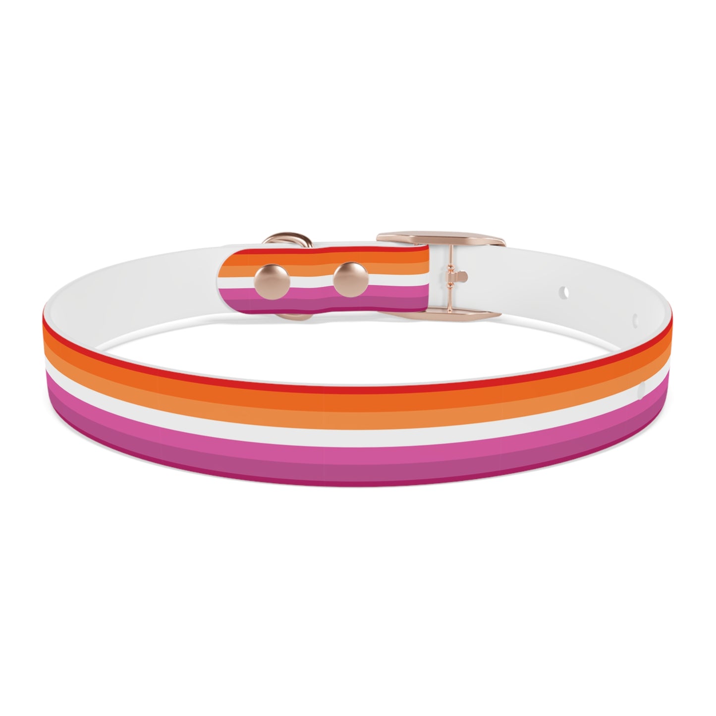 Lesbian Pride Flag Dog Collar