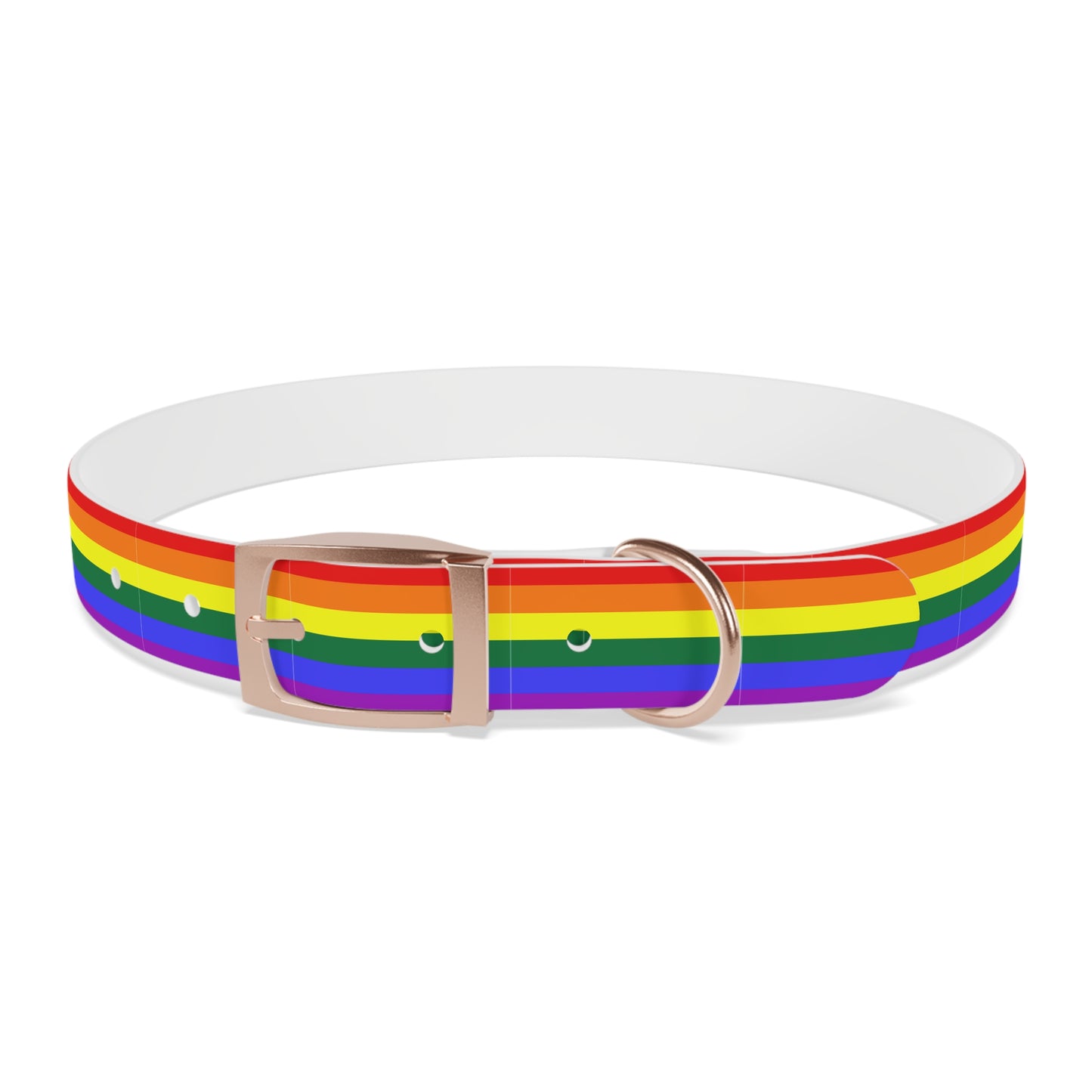 QPOC Pride Flag Dog Collar