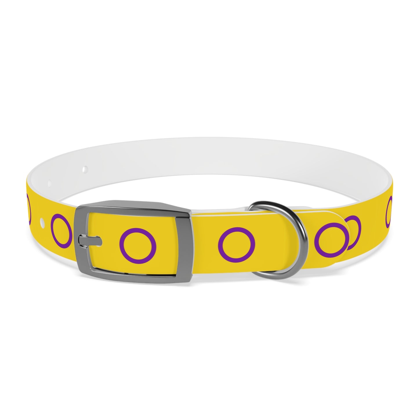 Intersex Pride Flag Dog Collar