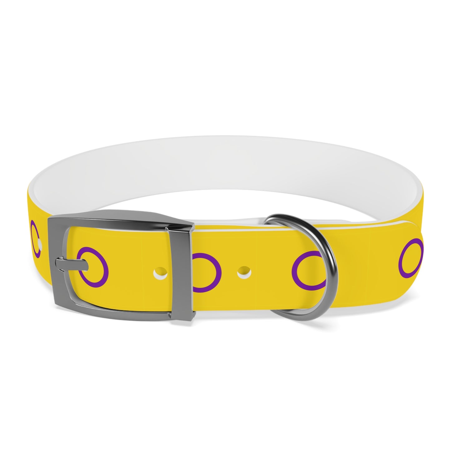 Intersex Pride Flag Dog Collar