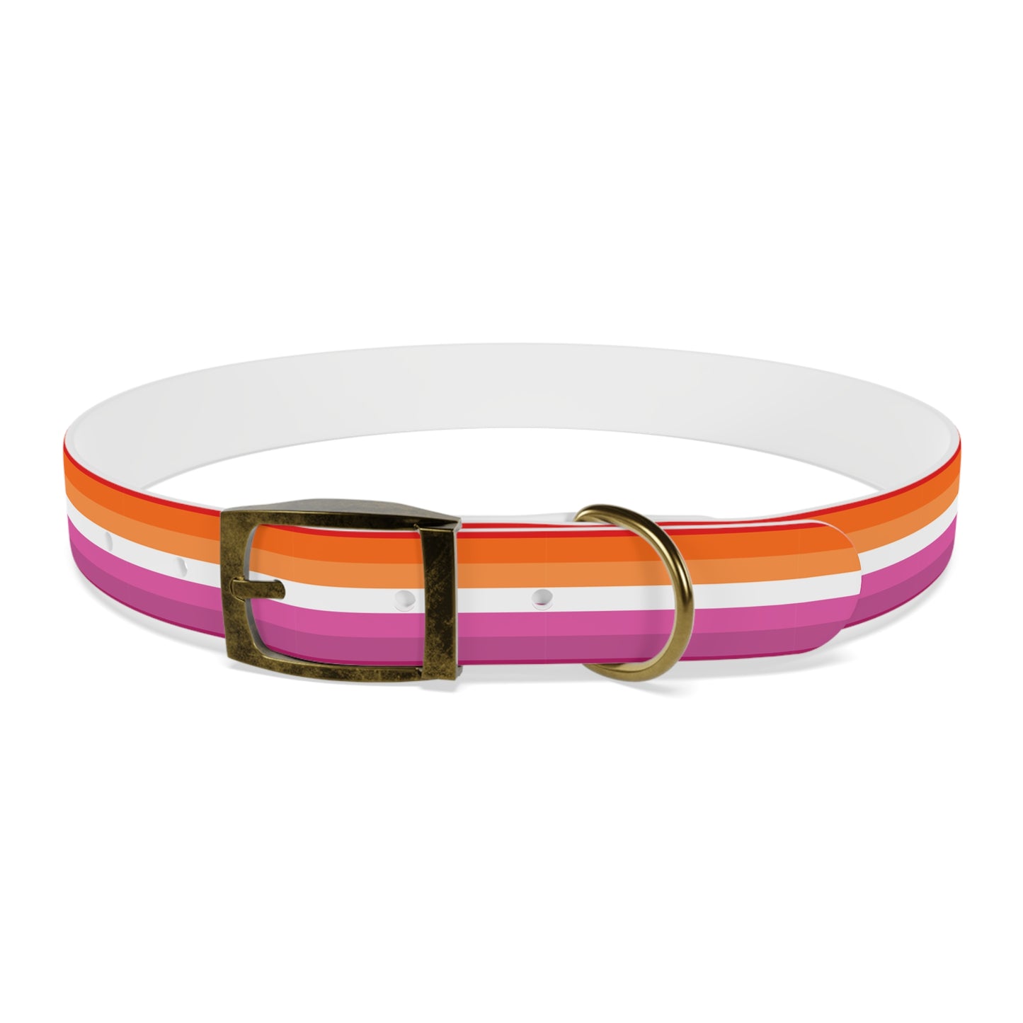 Lesbian Pride Flag Dog Collar