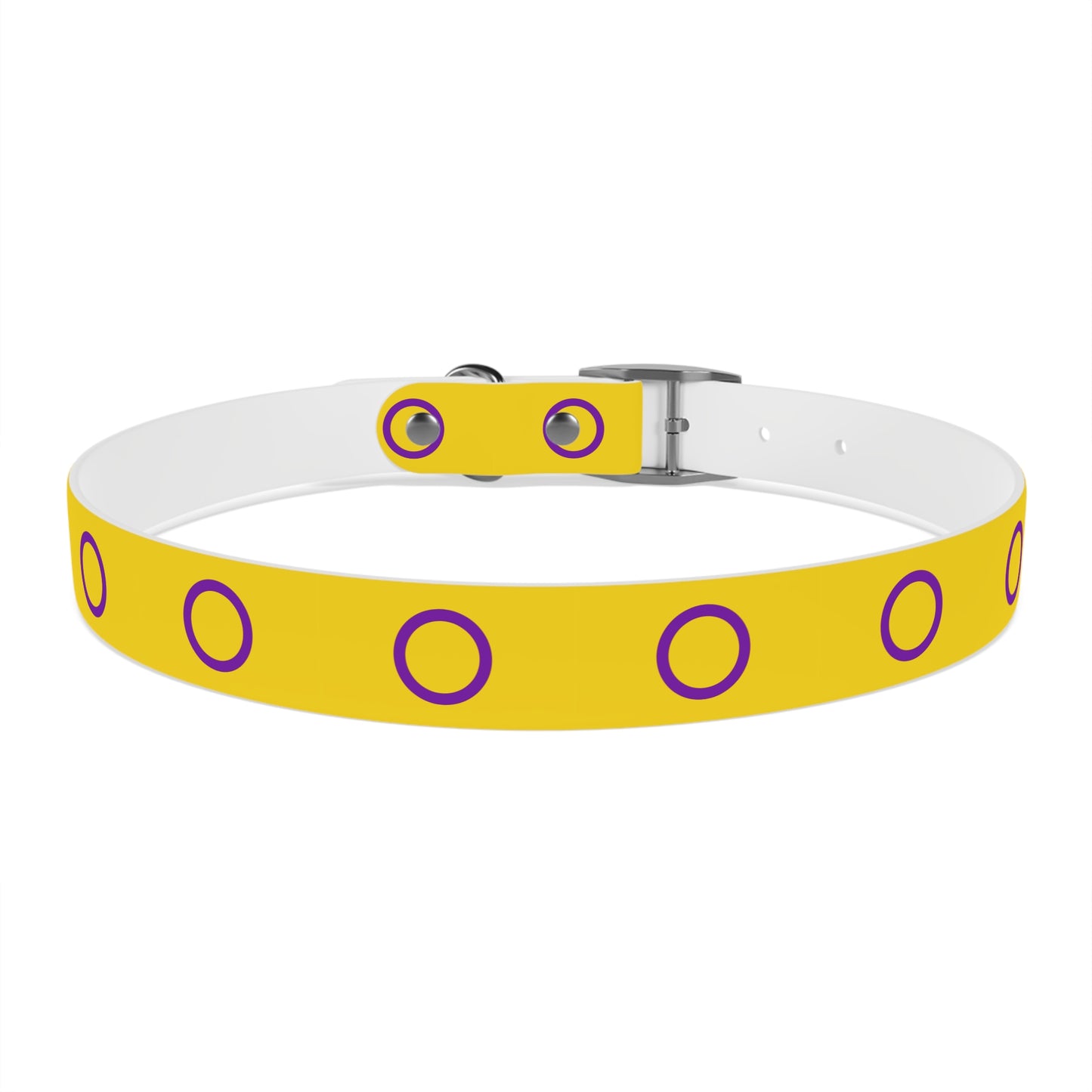 Intersex Pride Flag Dog Collar
