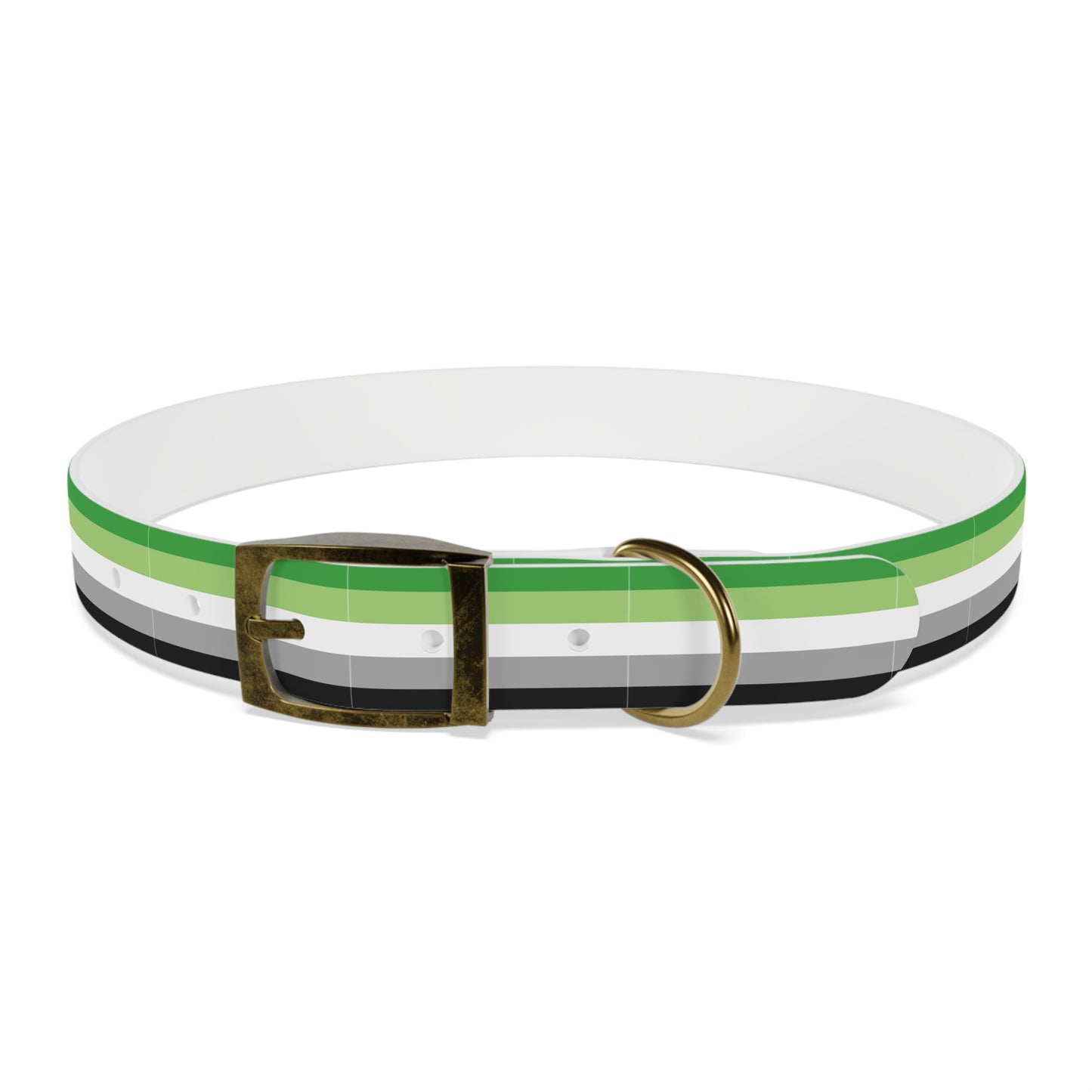 Aromantic Pride Flag Dog Collar