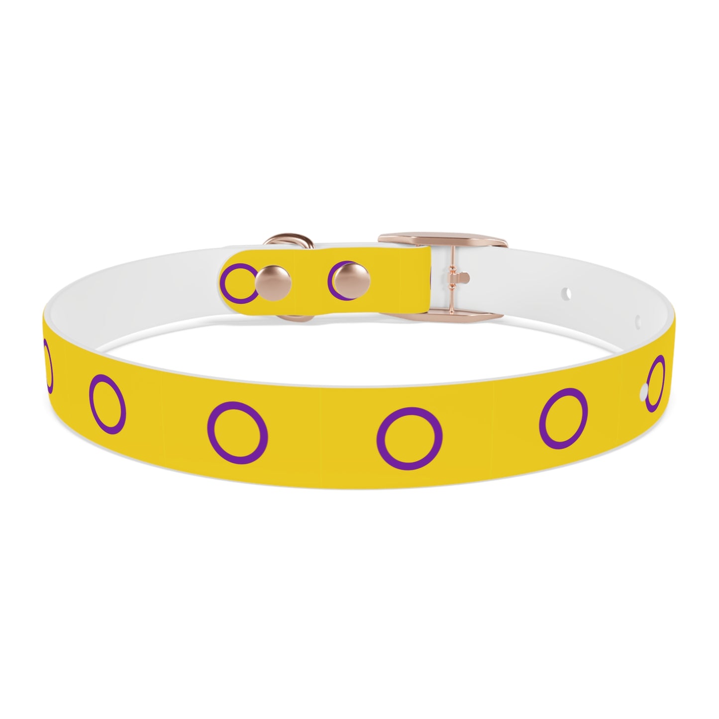 Intersex Pride Flag Dog Collar