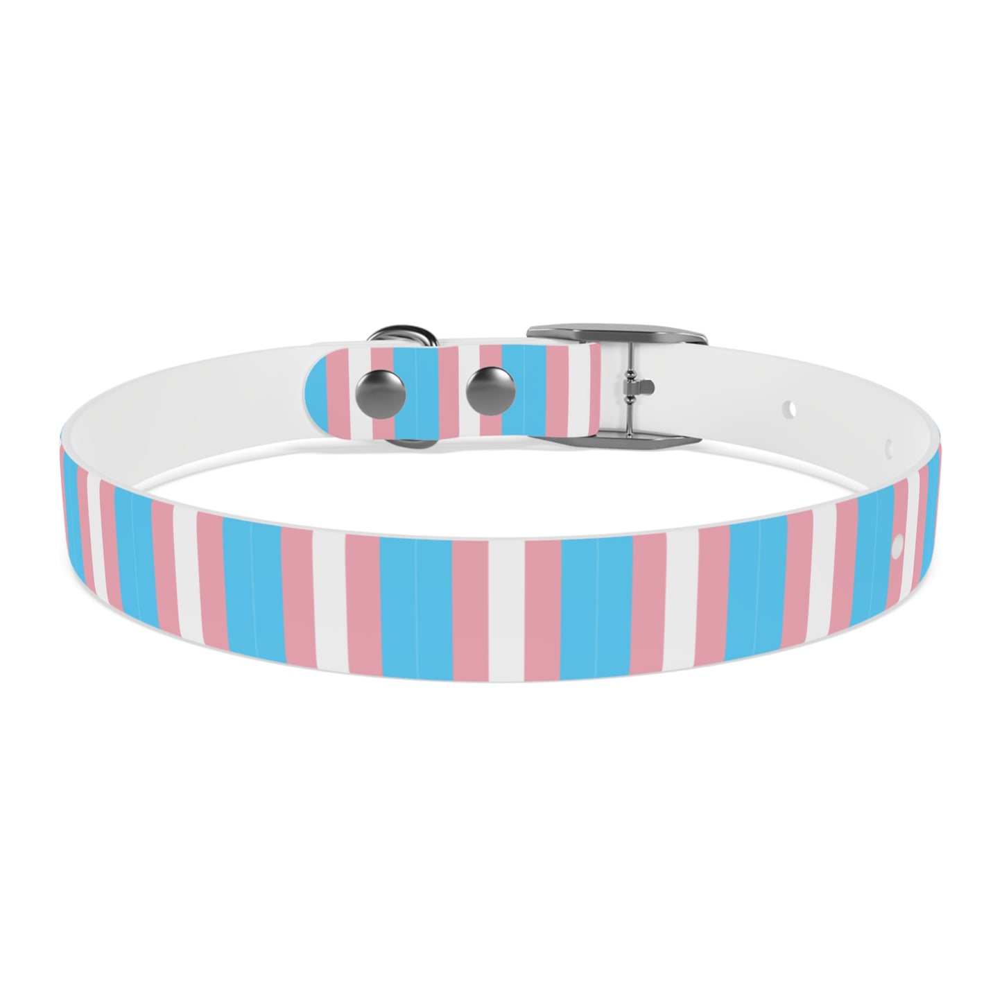 Transgender Pride Flag Dog Collar