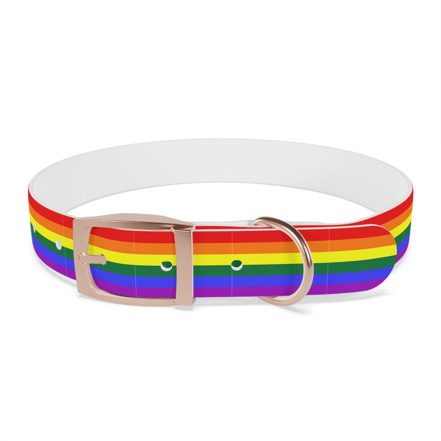 QPOC Pride Flag Dog Collar
