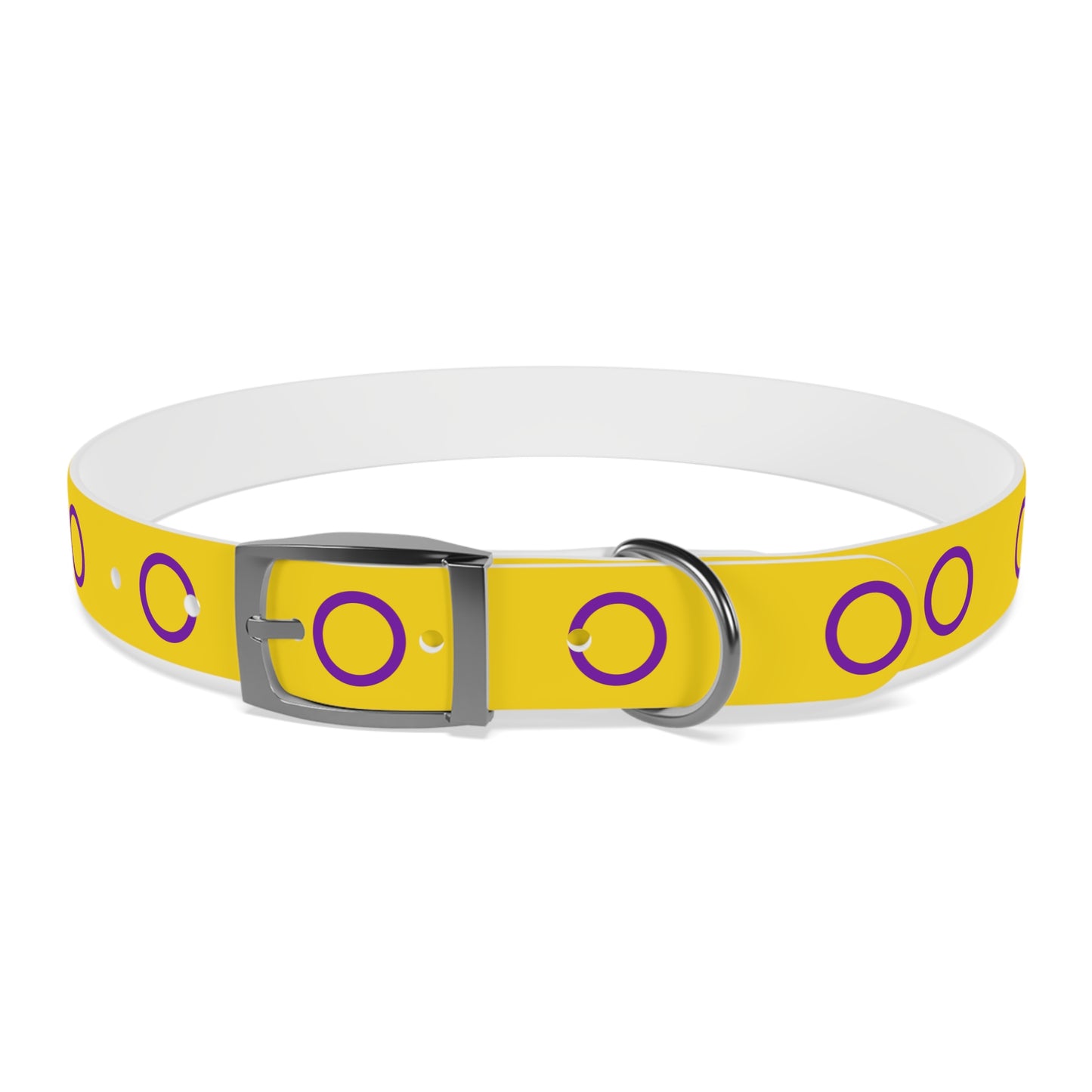 Intersex Pride Flag Dog Collar