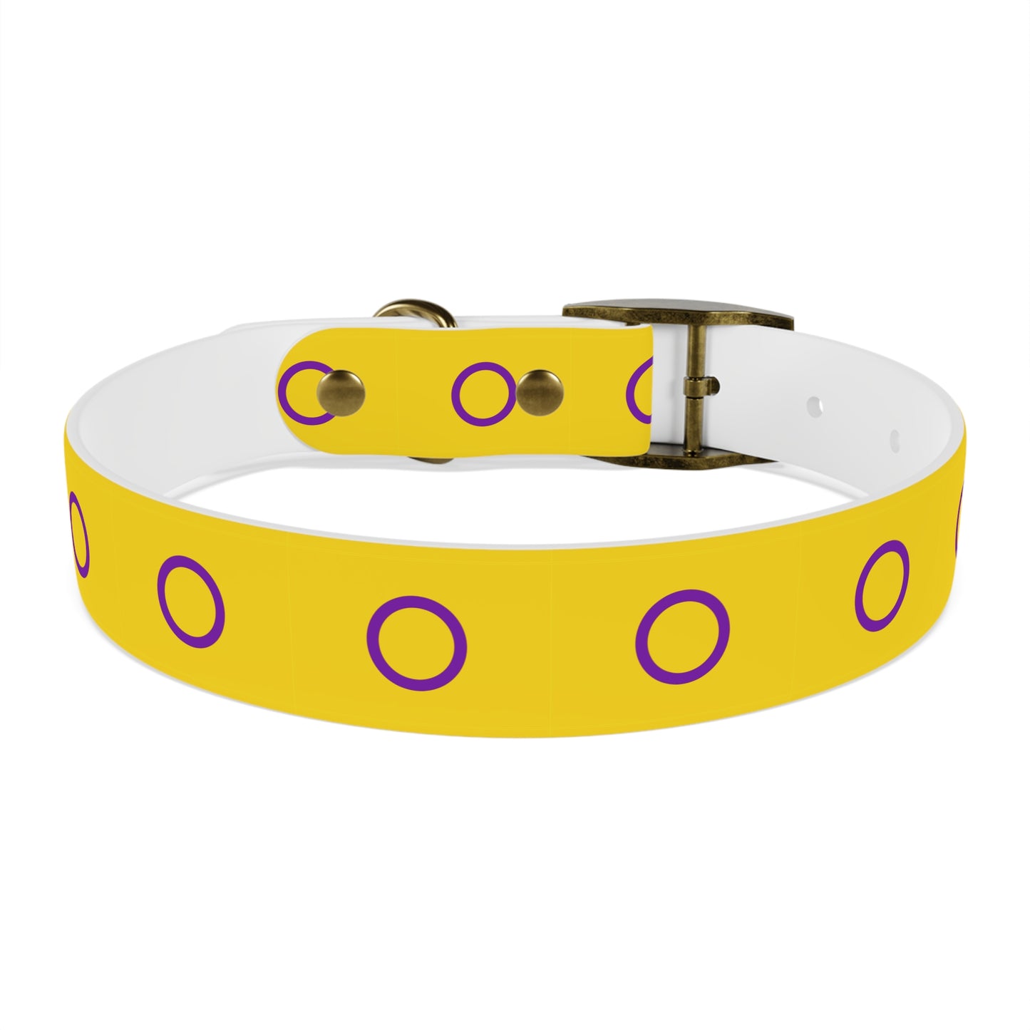Intersex Pride Flag Dog Collar