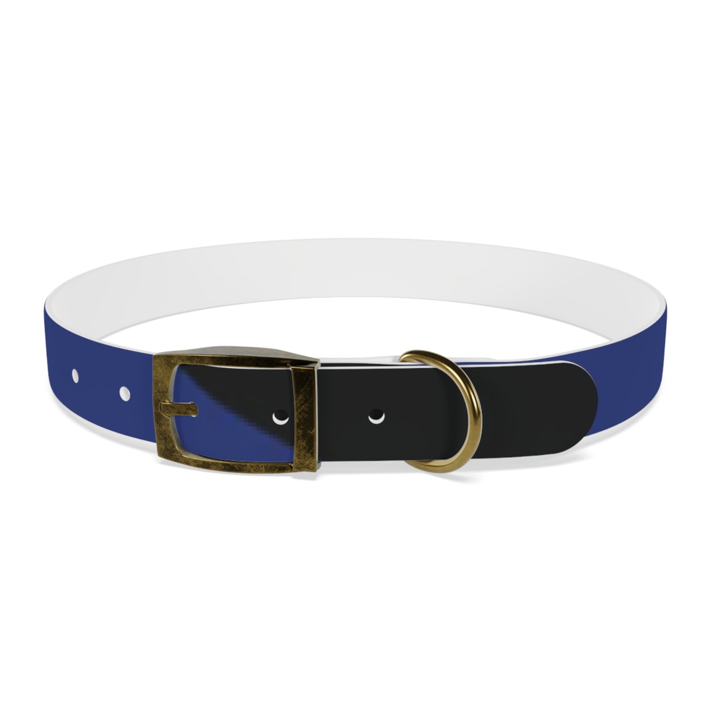 Boot Fetish Pride Flag Dog Collar