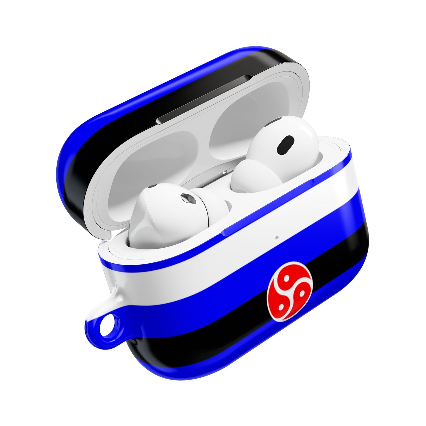 BDSM Fetish Pride Flag AirPod Case - Multiple Generations