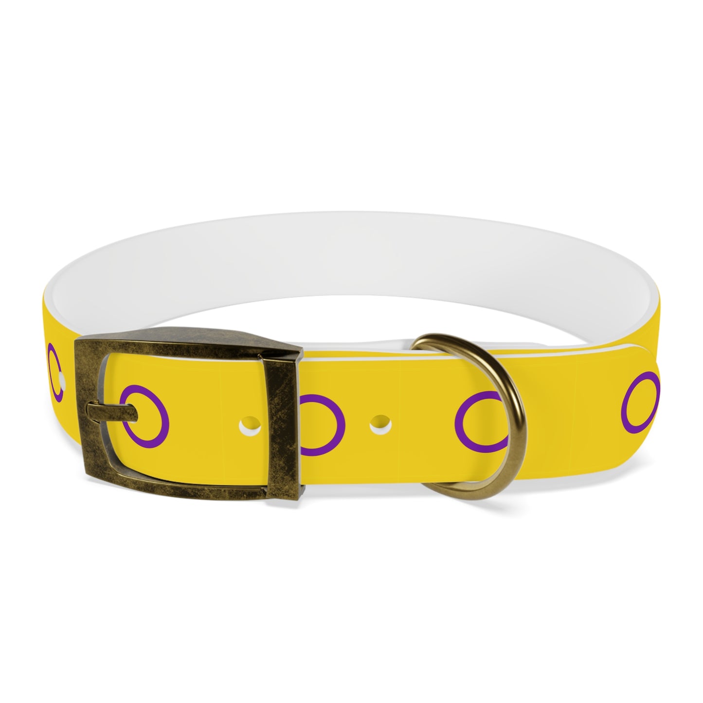 Intersex Pride Flag Dog Collar