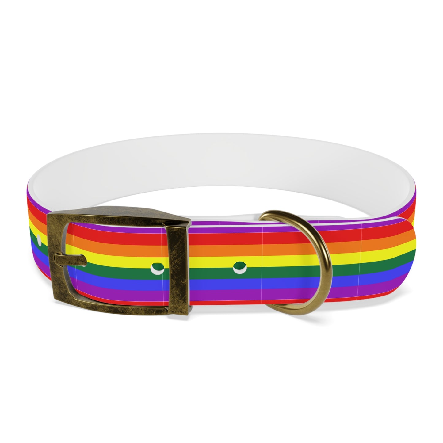 QPOC Pride Flag Dog Collar