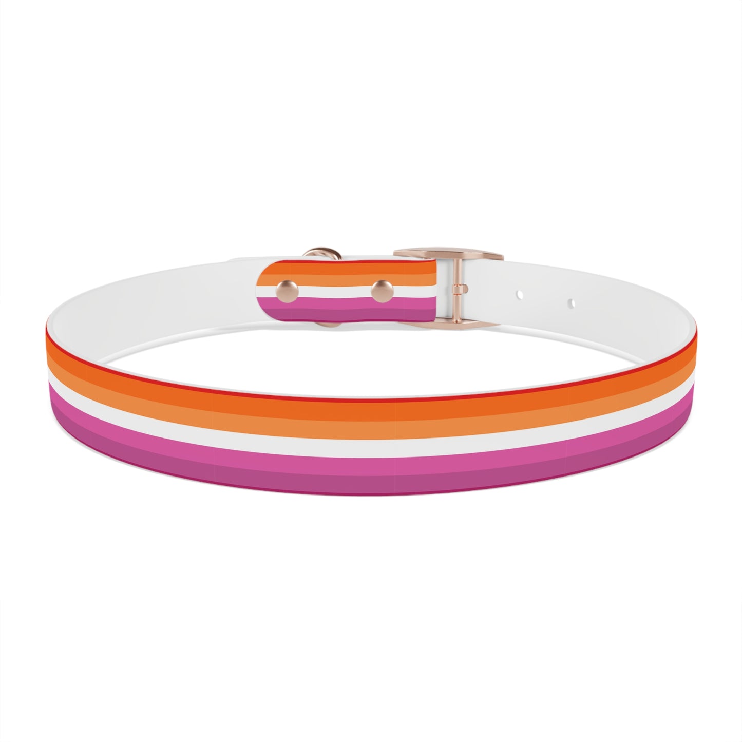 Lesbian Pride Flag Dog Collar