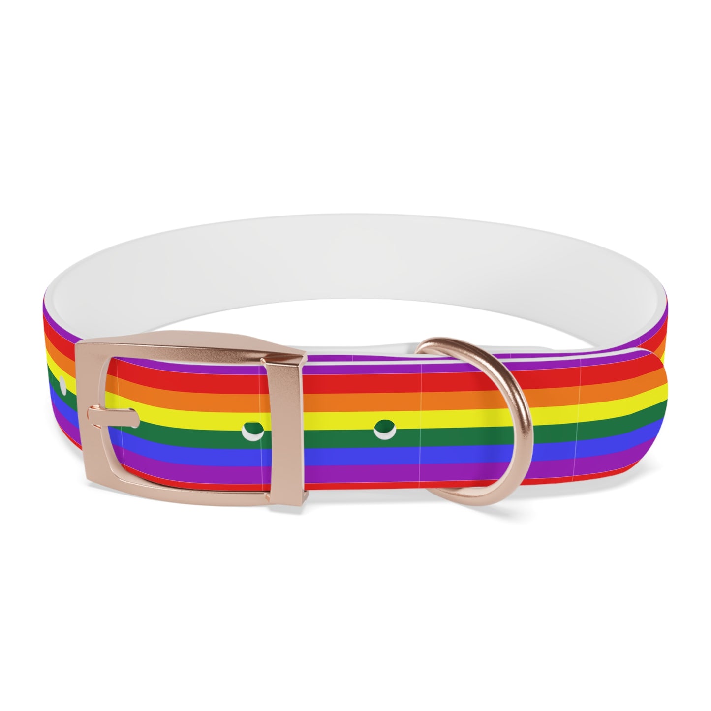 QPOC Pride Flag Dog Collar