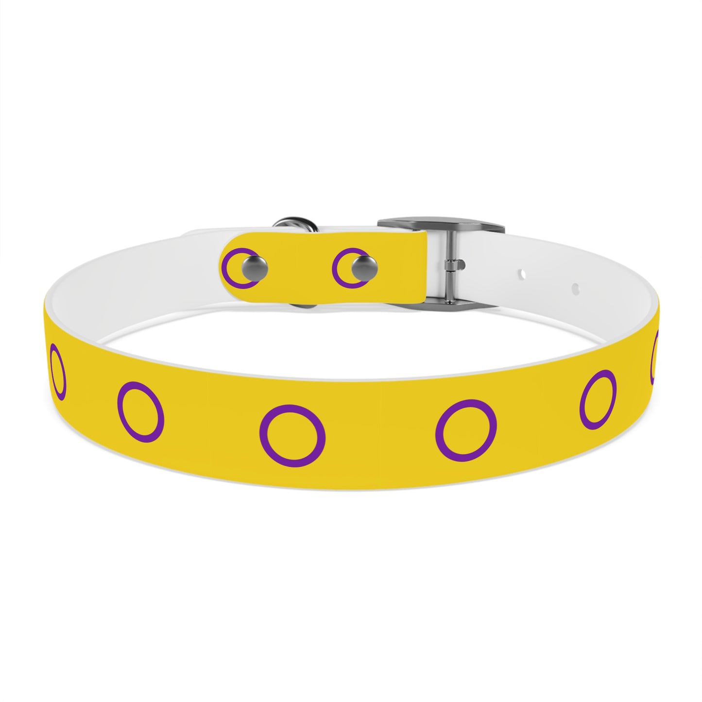 Intersex Pride Flag Dog Collar