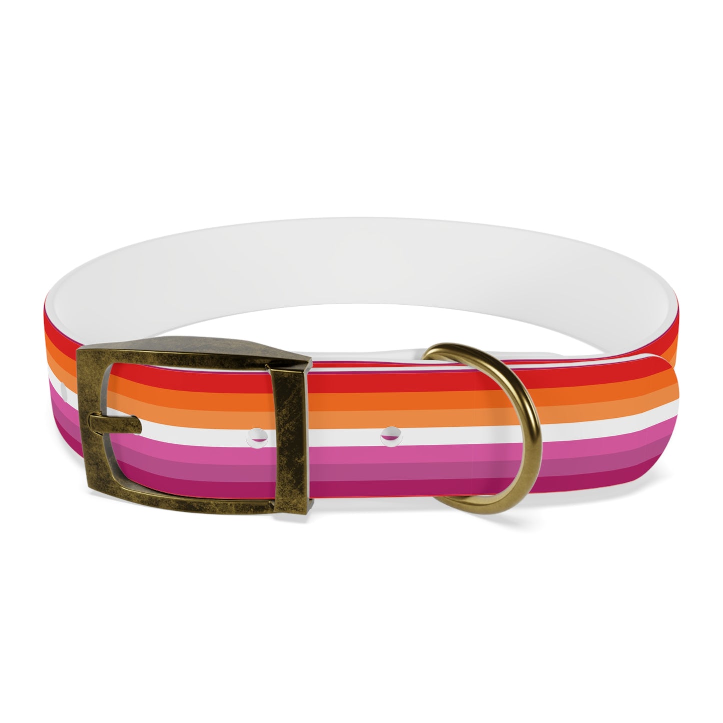 Lesbian Pride Flag Dog Collar