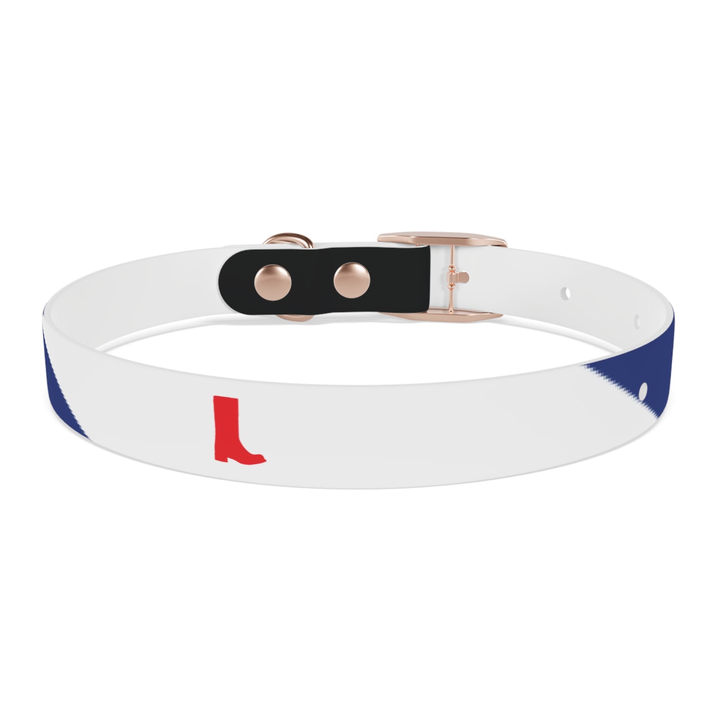 Boot Fetish Pride Flag Dog Collar