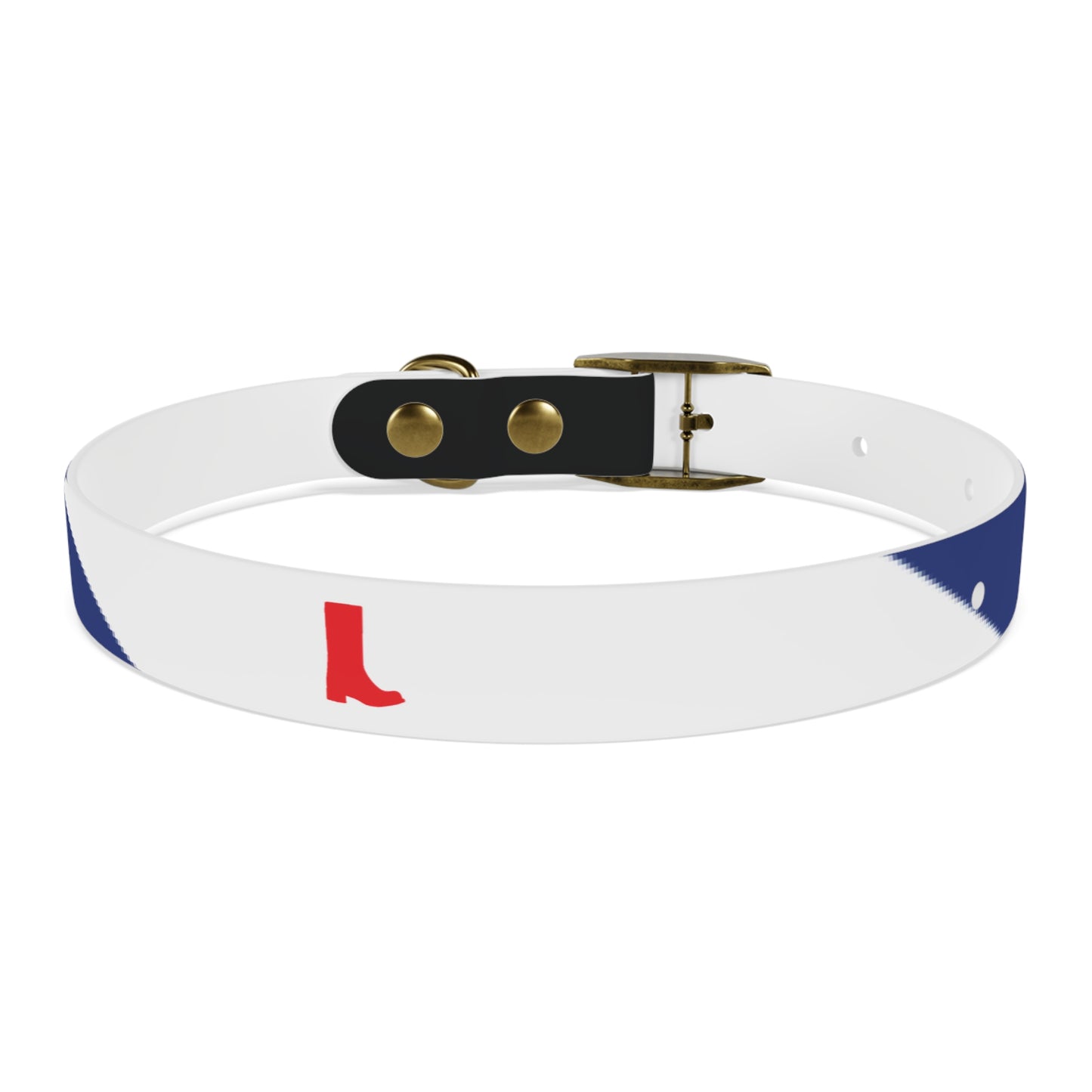 Boot Fetish Pride Flag Dog Collar