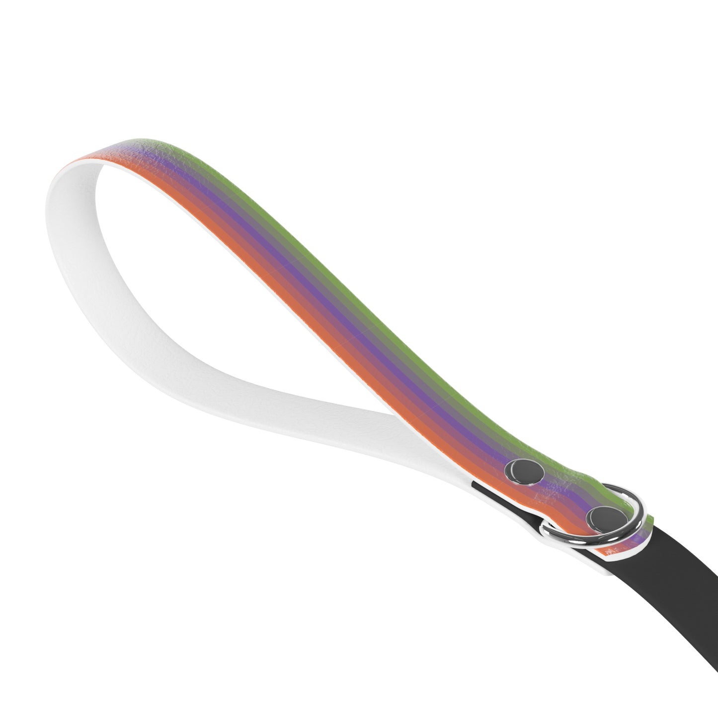 Aliagender Pride Flag Dog Leash
