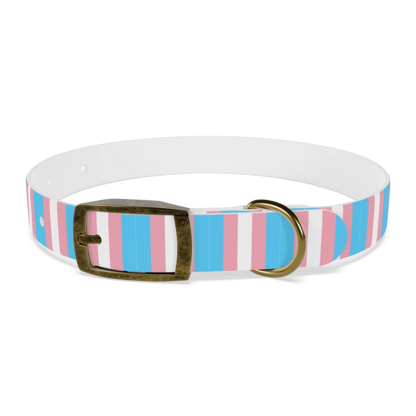 Transgender Pride Flag Dog Collar