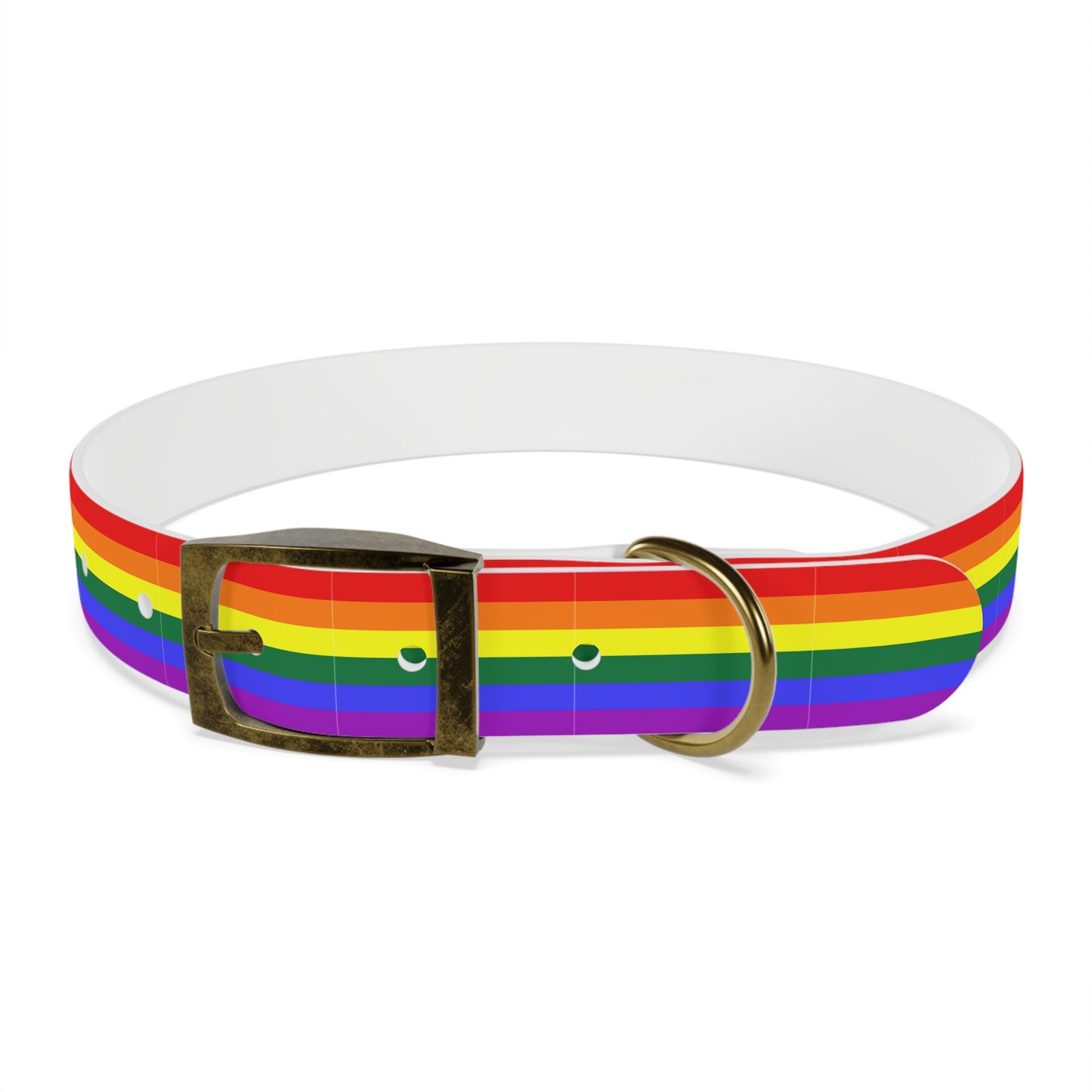 QPOC Pride Flag Dog Collar