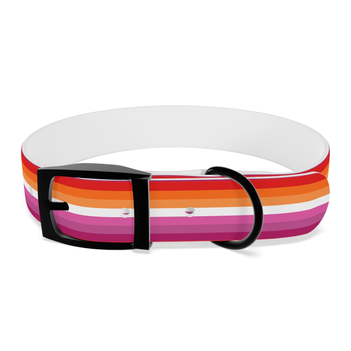 Lesbian Pride Flag Dog Collar
