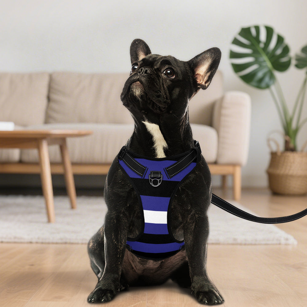 Leather Pride Flag Dog Harness