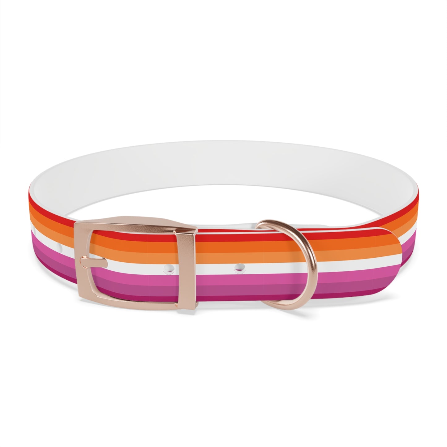 Lesbian Pride Flag Dog Collar