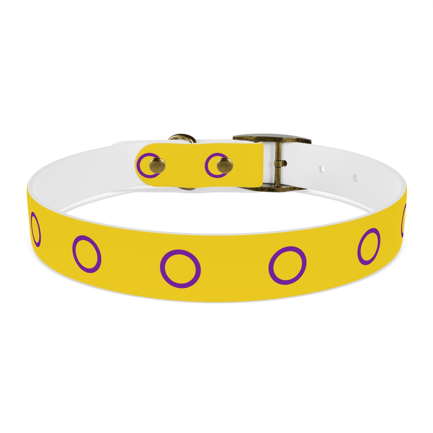Intersex Pride Flag Dog Collar