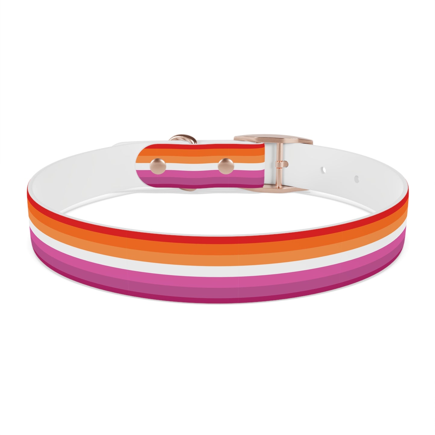Lesbian Pride Flag Dog Collar