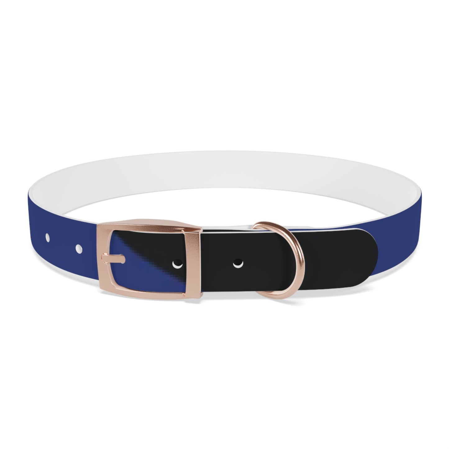 Boot Fetish Pride Flag Dog Collar