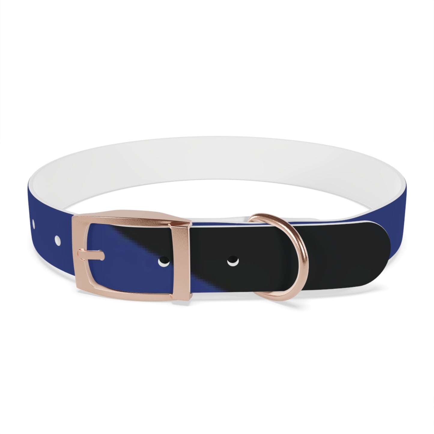 Boot Fetish Pride Flag Dog Collar
