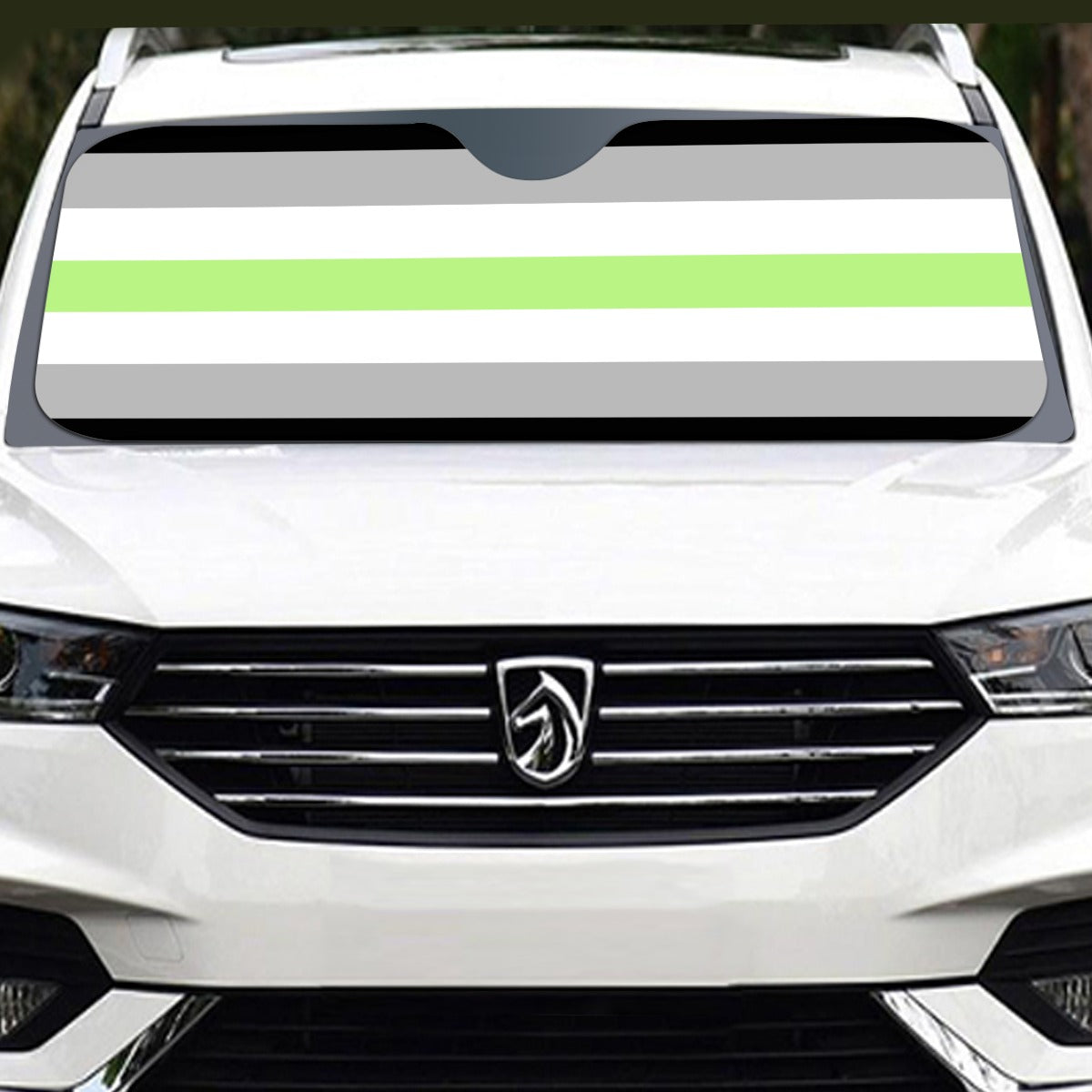 Agender Pride Flag Windshield Sunshade | 145cm(57.1”)