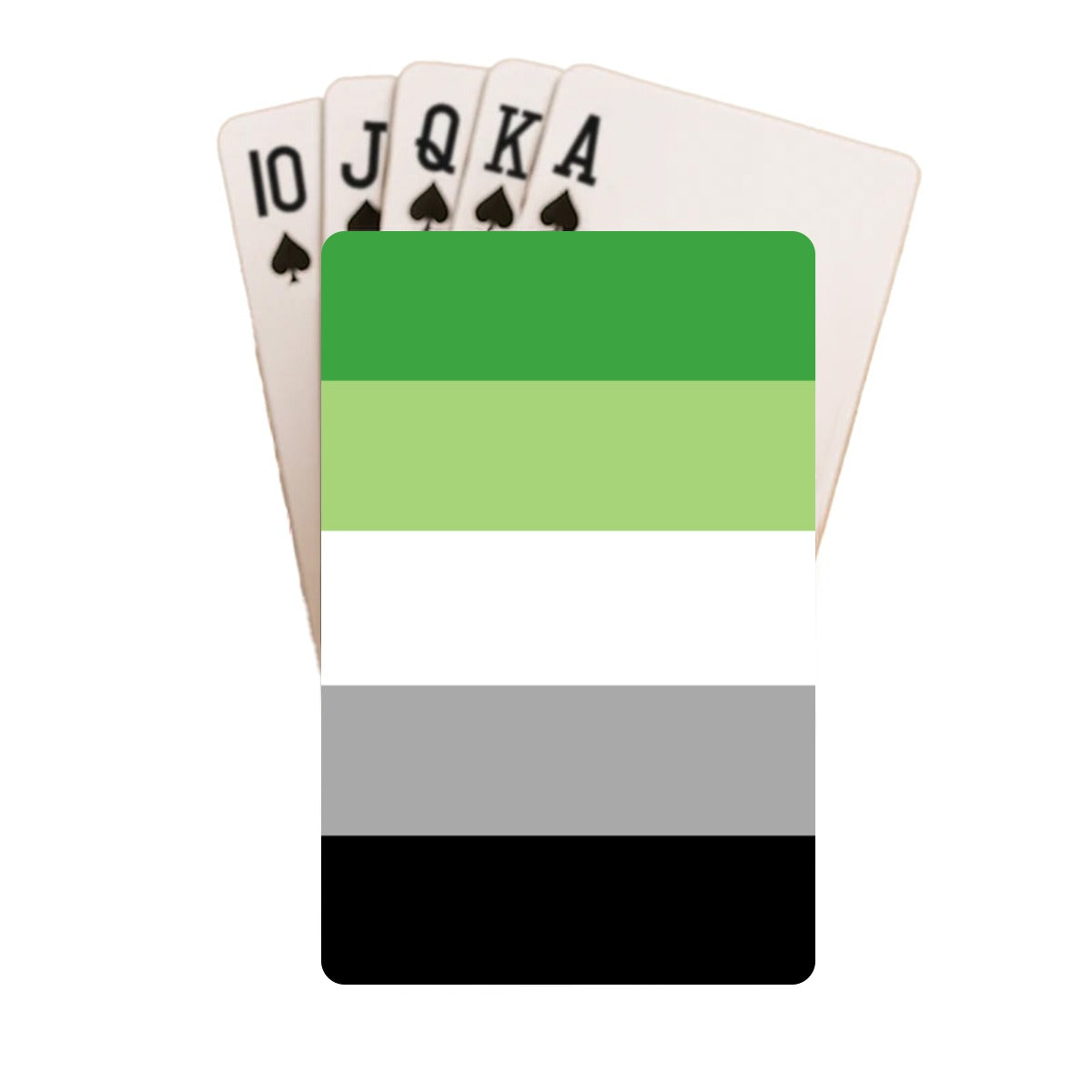 Aromantic Pride Flag Playing Cards with Tin Case