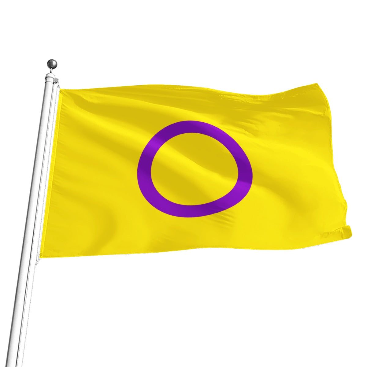 Intersex Pride Flag - Multiple Sizes