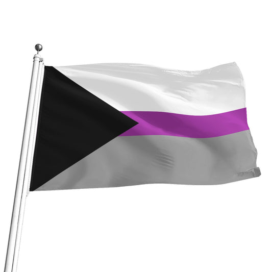 Demisexual Pride Flag - Multiple Sizes