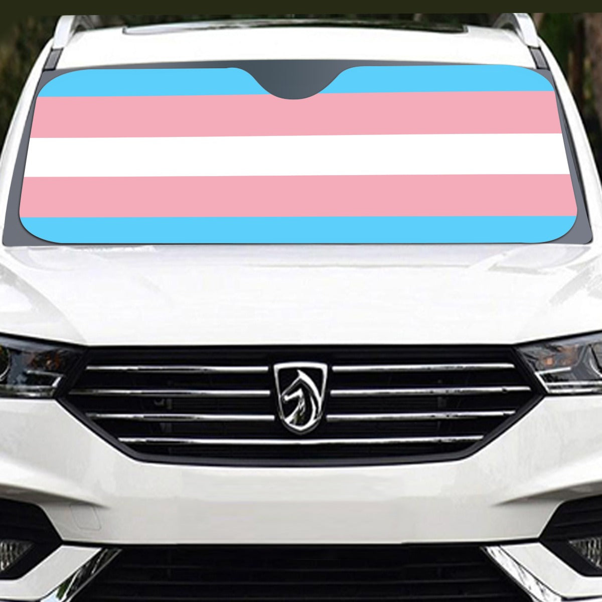 Transgender Pride Flag Windshield Sunshade | 145 cm (57.1)