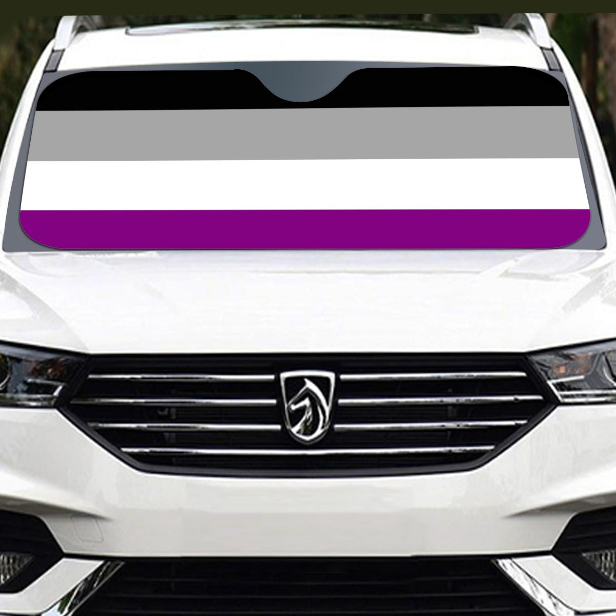 Asexual Pride Flag Windshield Sunshade | 137 cm (53.9")