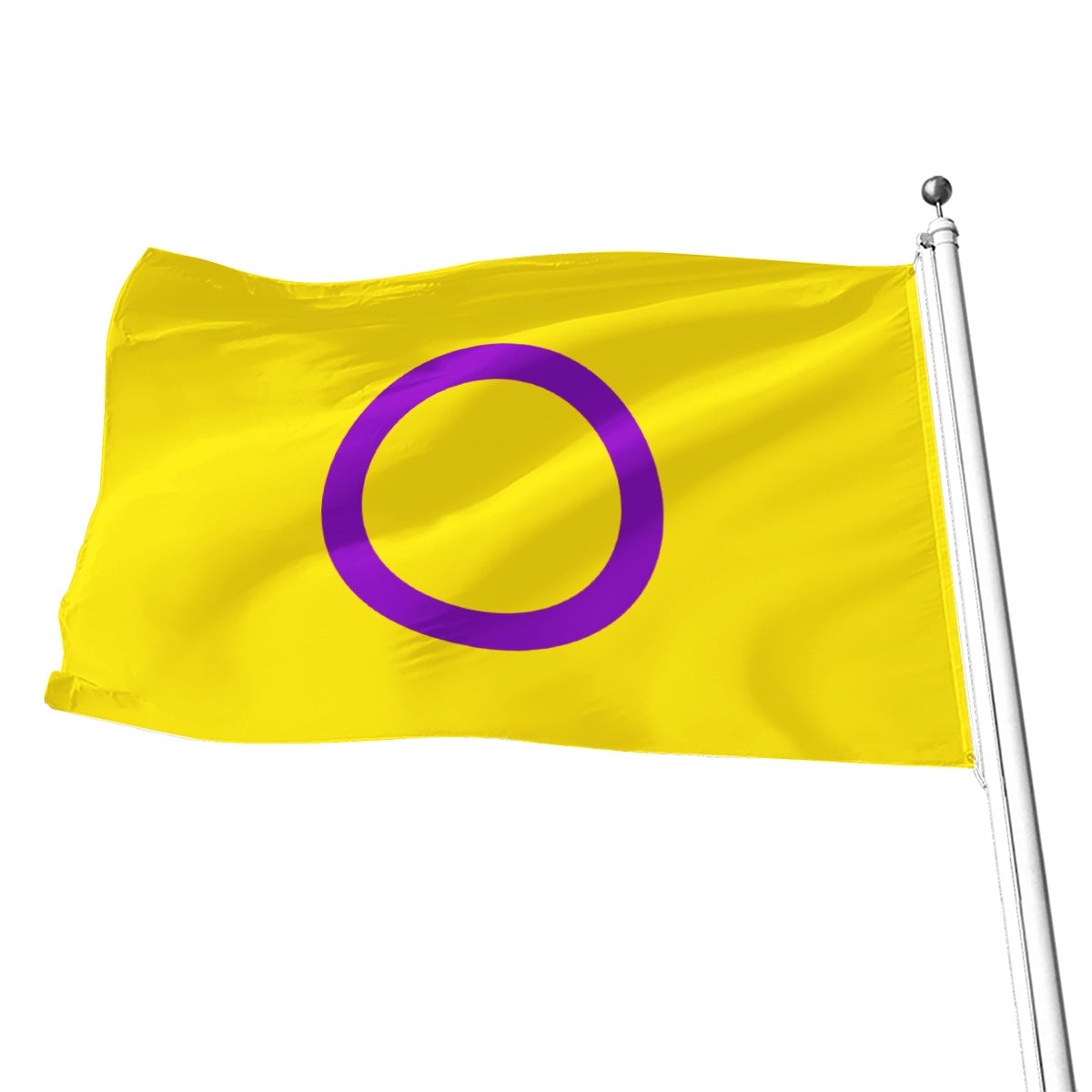 Intersex Pride Flag - Multiple Sizes