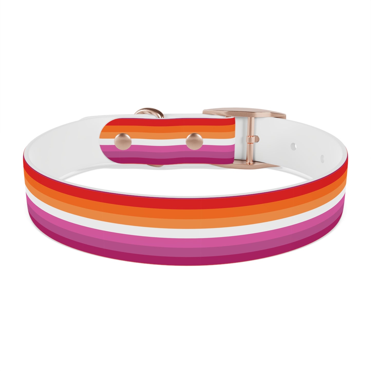 Lesbian Pride Flag Dog Collar